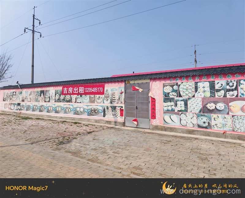 吉房出租,沿街房出租